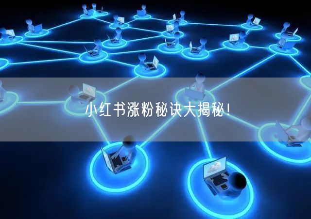 小红书涨粉秘诀大揭秘！