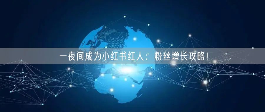 一夜间成为小红书红人:粉丝增长攻略!