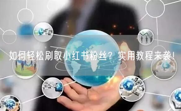 如何轻松刷取小红书粉丝?实用教程来袭!