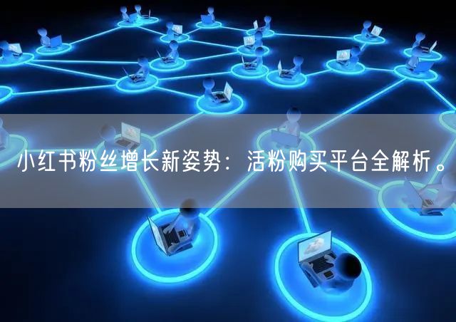 小红书粉丝增长新姿势:活粉购买平台全解析。