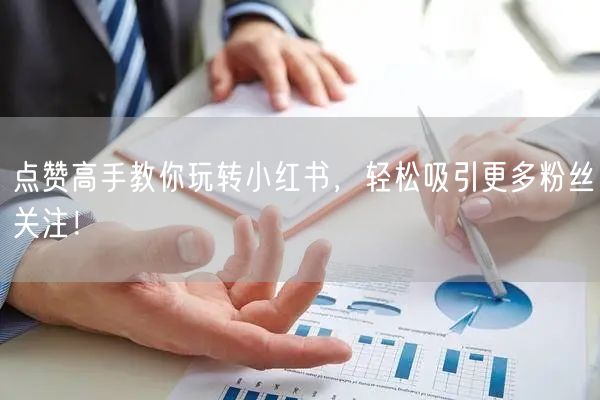 点赞高手教你玩转小红书，轻松吸引更多粉丝关注！