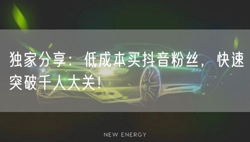 独家分享：低成本买抖音粉丝，快速突破千人大关！