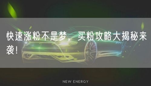 快速涨粉不是梦，买粉攻略大揭秘来袭！
