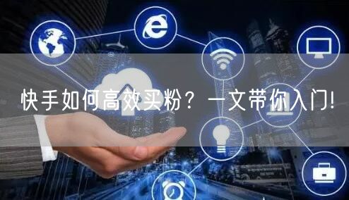 快手如何高效买粉?一文带你入门!