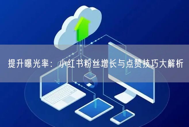 提升曝光率:小红书粉丝增长与点赞技巧大解析