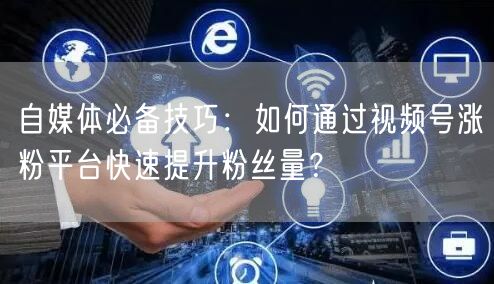自媒体必备技巧:如何通过视频号涨粉平台快速提升粉丝量?